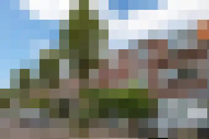 Dahliastraat 6 Rijswijk thumbnail 25