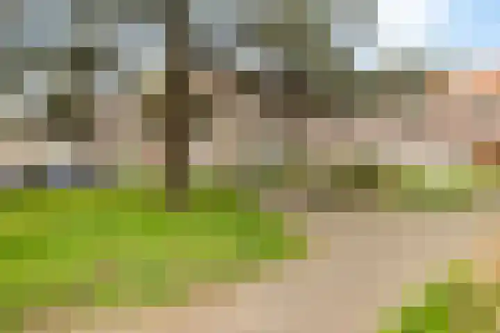 Dahliastraat 6 Rijswijk thumbnail 26
