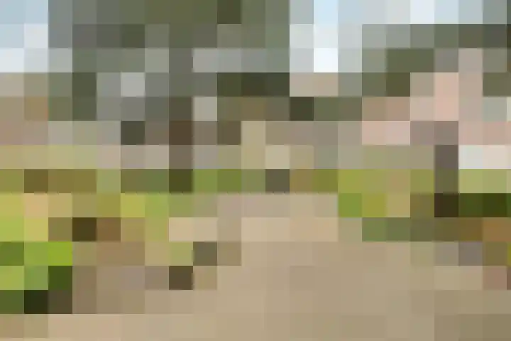 Dahliastraat 6 Rijswijk thumbnail 27