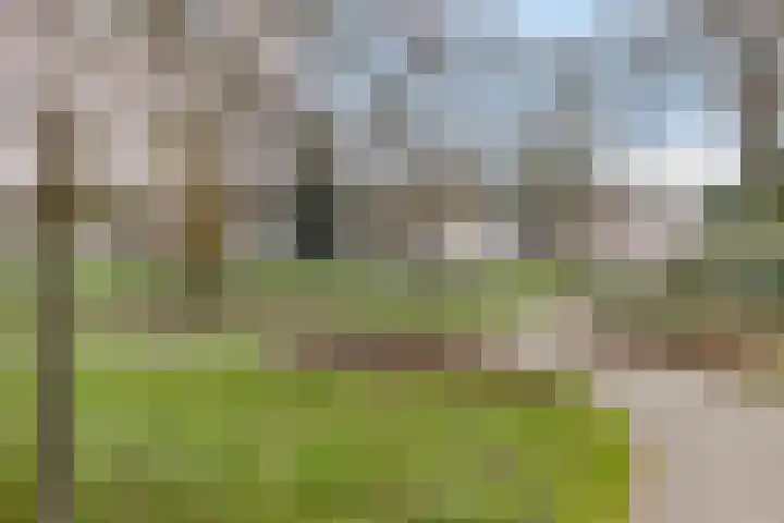 Dahliastraat 6 Rijswijk thumbnail 28