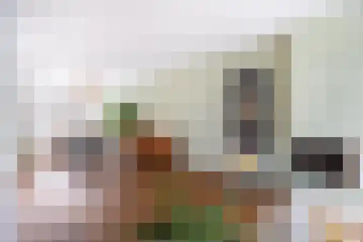 Dahliastraat 6 Rijswijk thumbnail 7