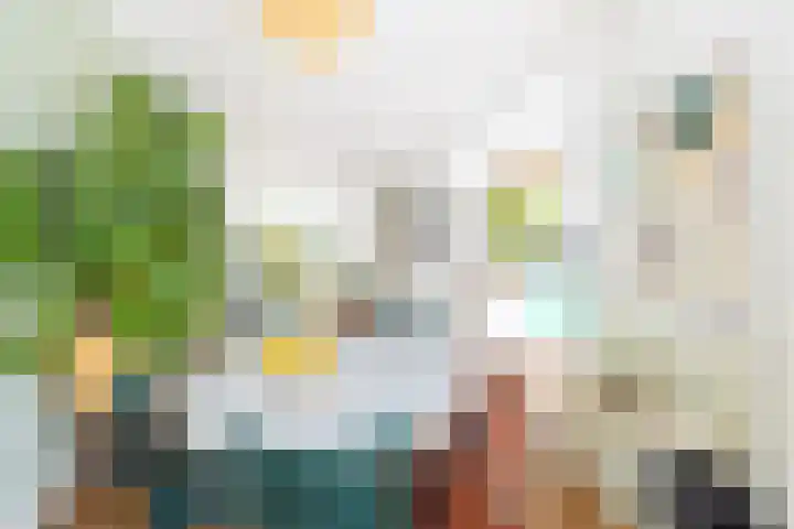 Dahliastraat 6 Rijswijk thumbnail 8