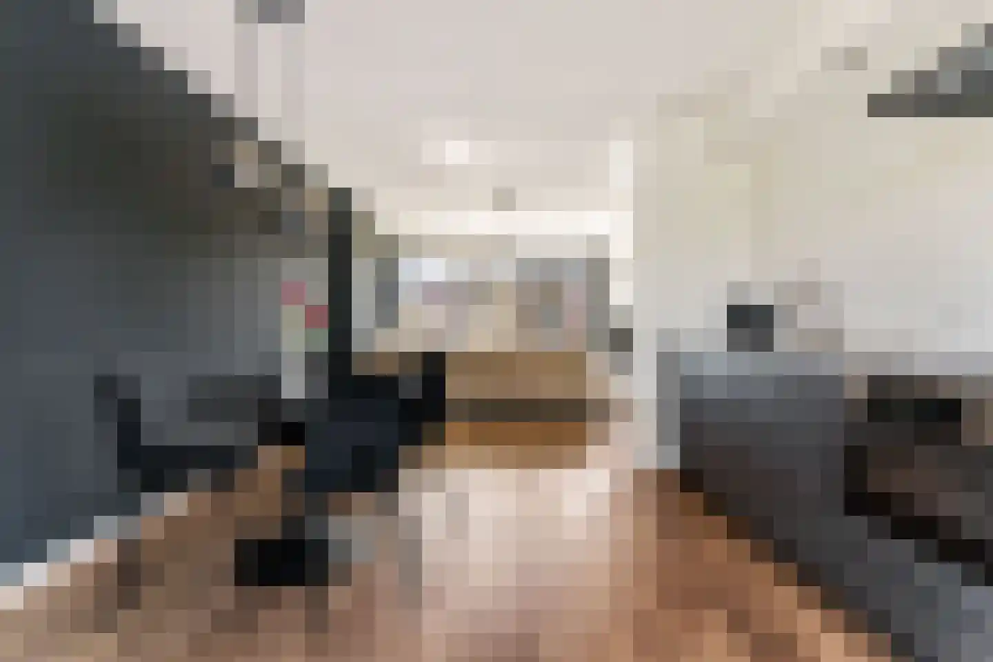 Dahliastraat 6 Zwijndrecht thumbnail 12