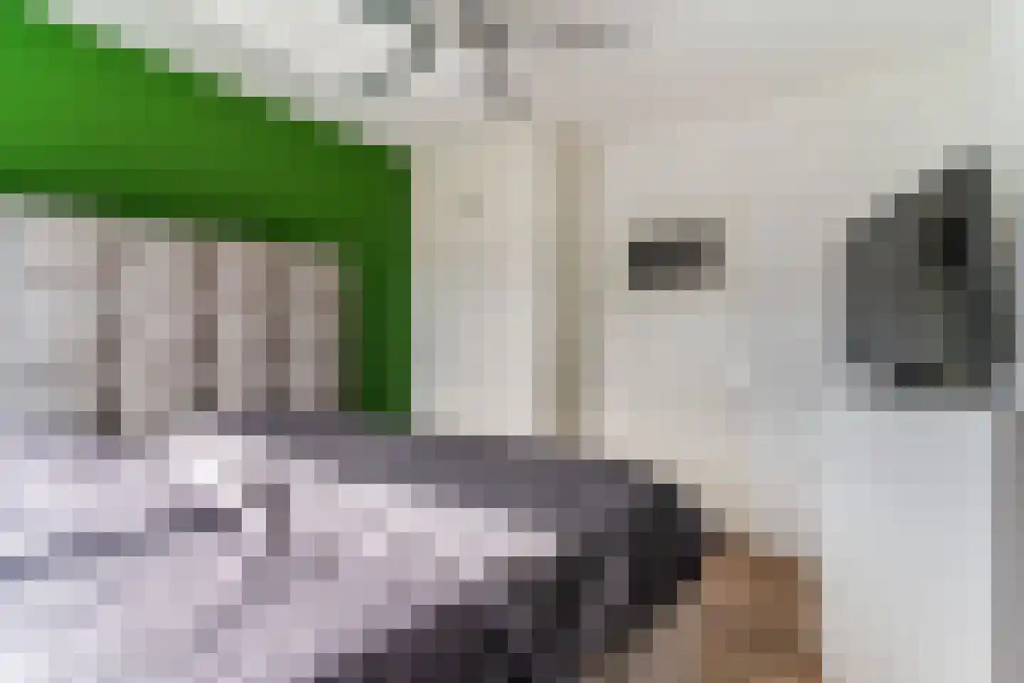 Dahliastraat 6 Zwijndrecht thumbnail 27