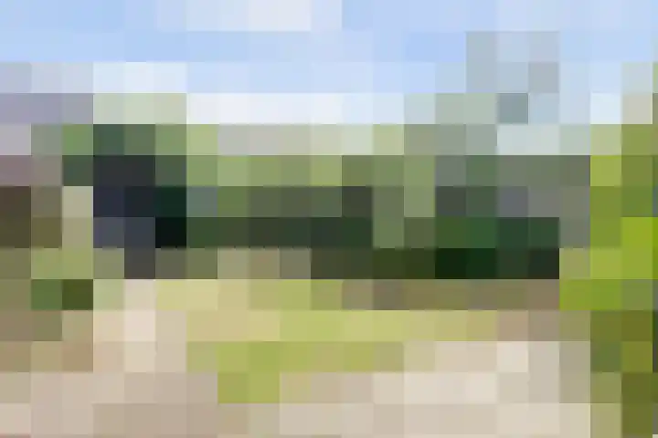 Dahliastraat 60 Malden thumbnail 32