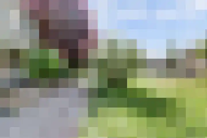 Dahliastraat 60 Malden thumbnail 5