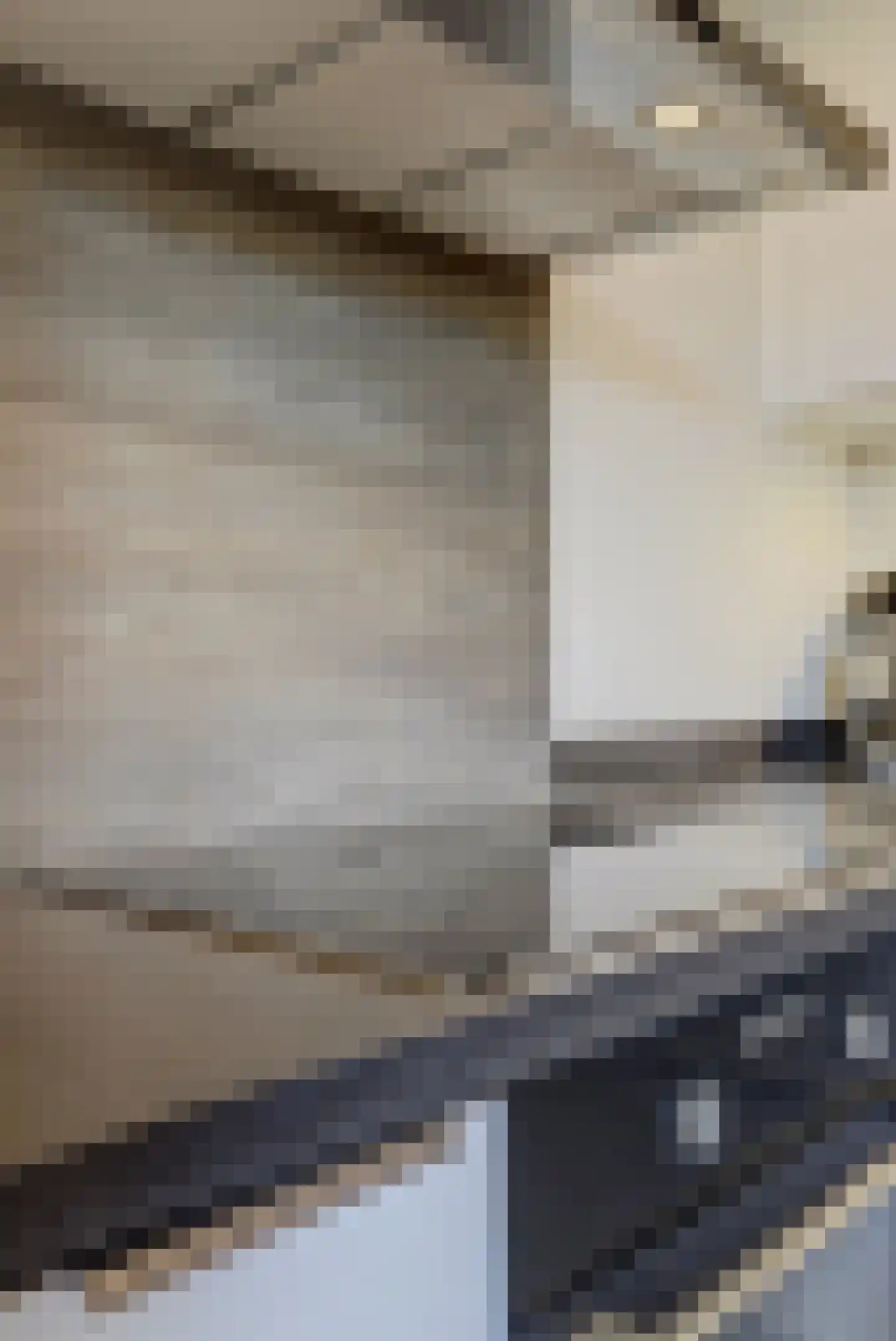Dahliastraat 60 Nieuwendijk thumbnail 22