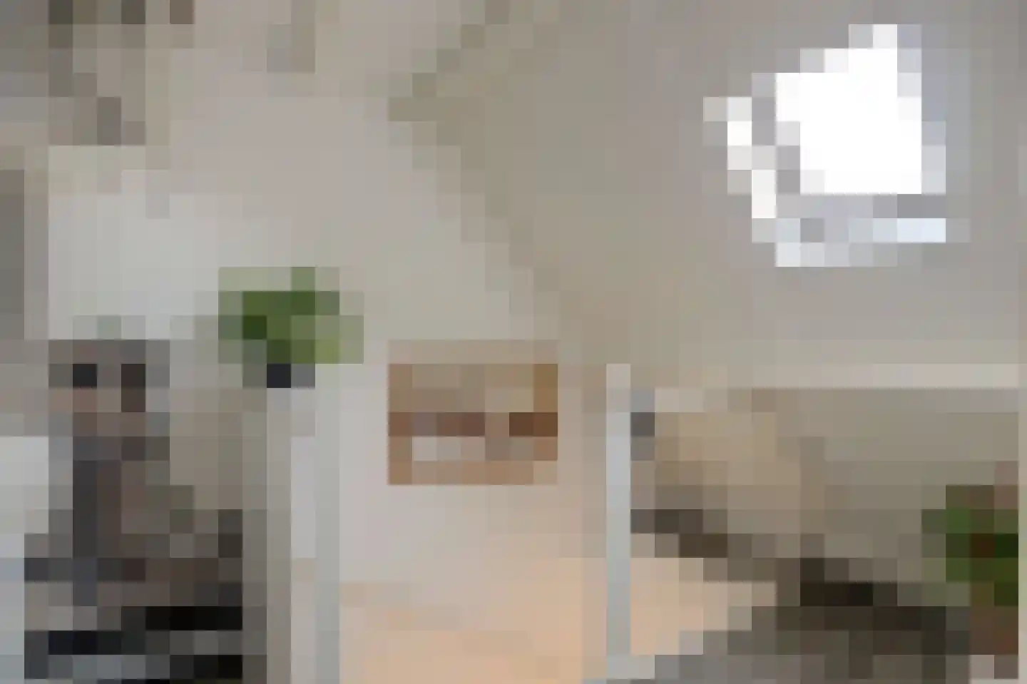 Dahliastraat 60 Nieuwendijk thumbnail 36