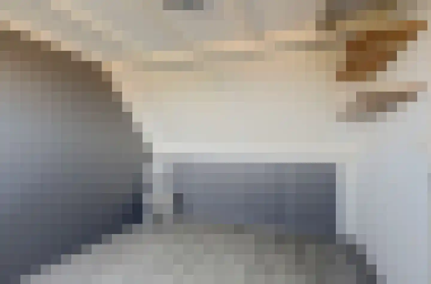 Dahliastraat 60 Nieuwendijk thumbnail 39