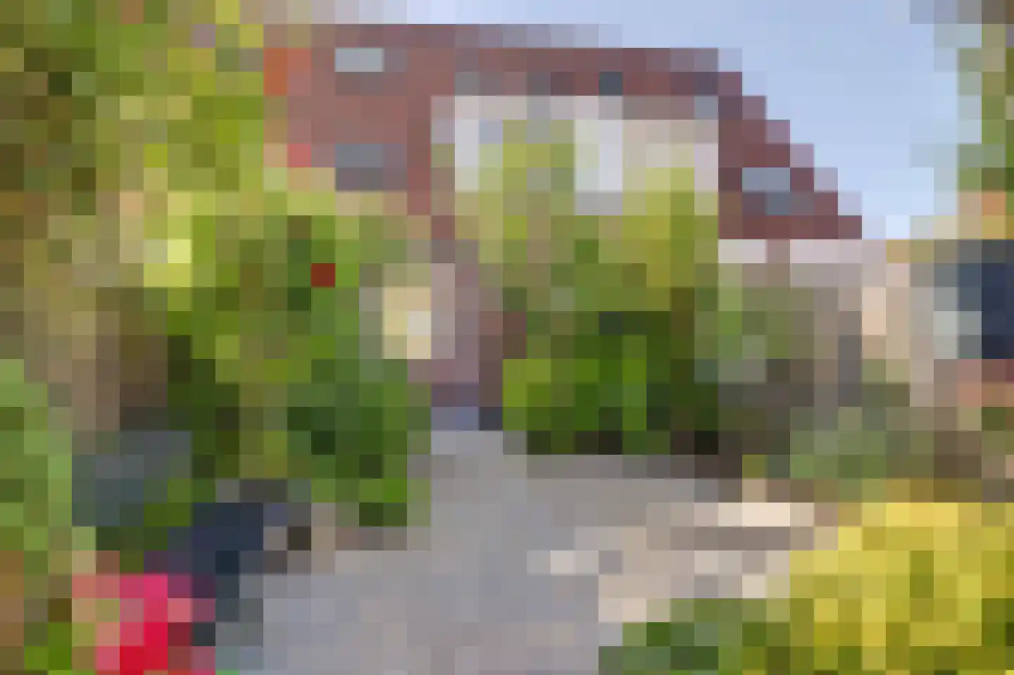 Dahliastraat 60 Nieuwendijk thumbnail 4