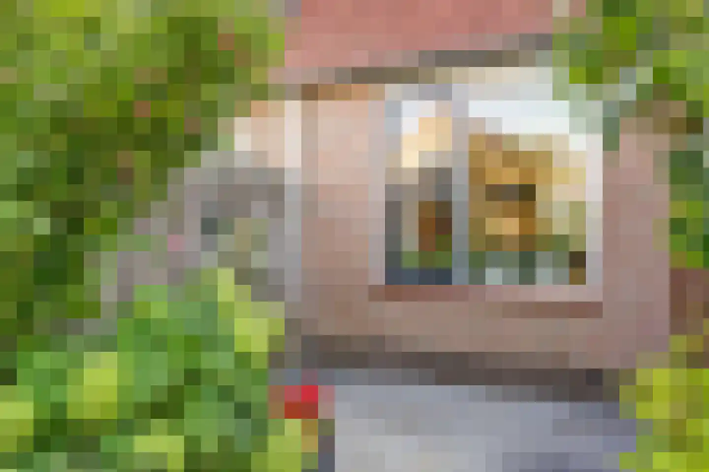 Dahliastraat 60 Nieuwendijk thumbnail 41