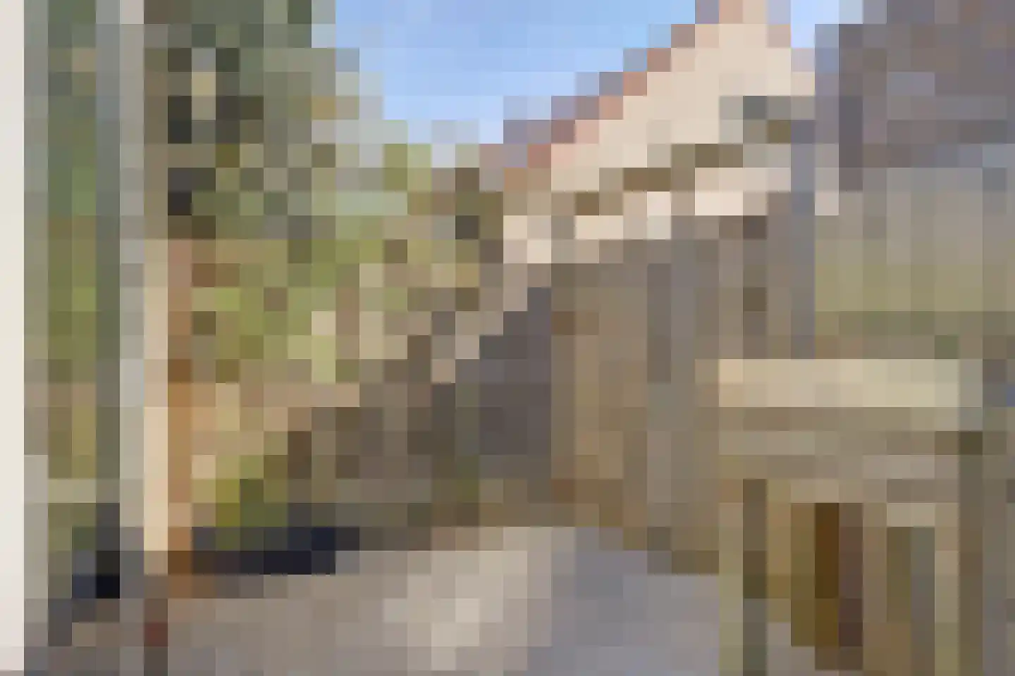 Dahliastraat 60 Nieuwendijk thumbnail 46
