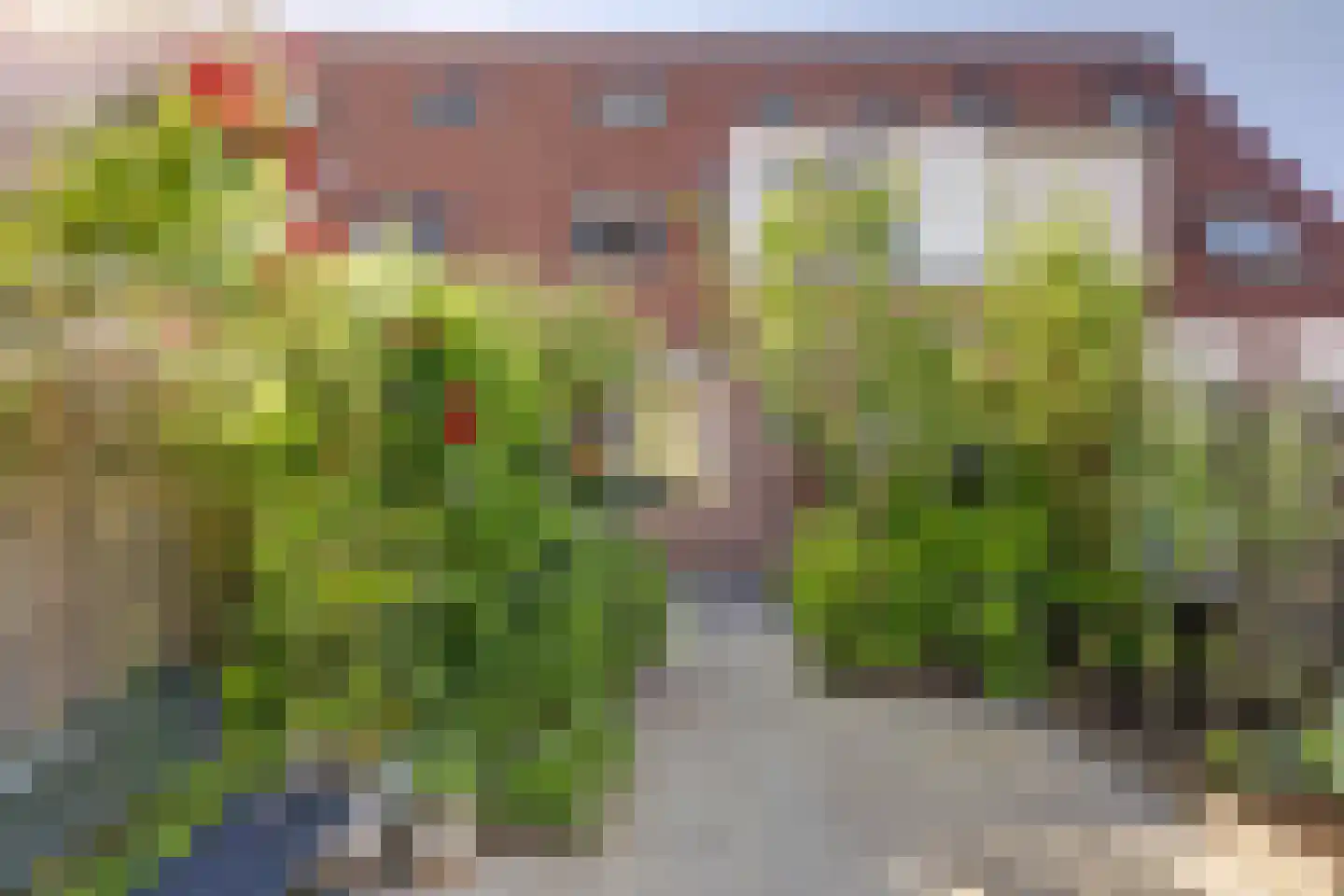 Dahliastraat 60 Nieuwendijk thumbnail 48