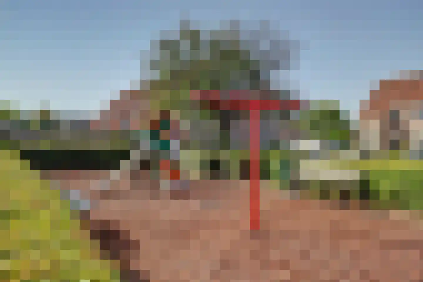 Dahliastraat 60 Nieuwendijk thumbnail 51