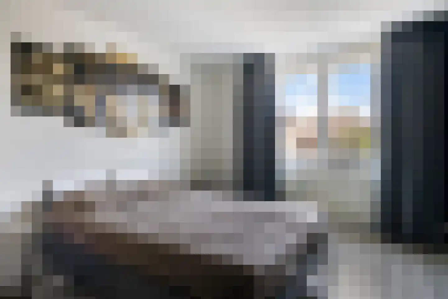 Dahliastraat 60 Weert thumbnail 15