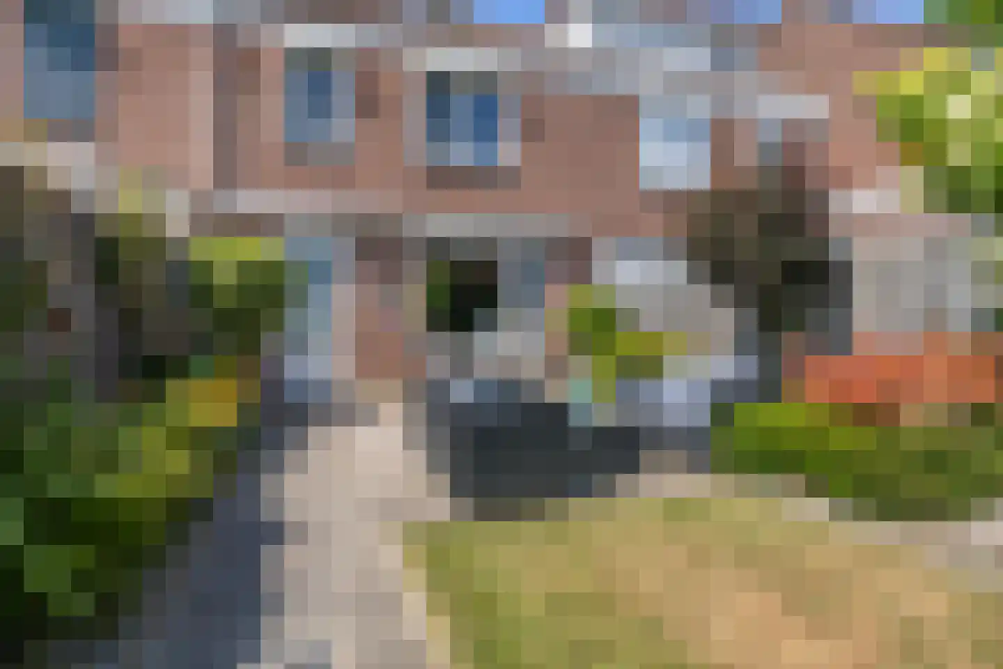 Dahliastraat 60 Weert thumbnail 23