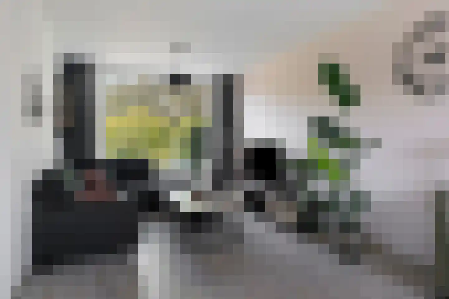 Dahliastraat 60 Weert thumbnail 8