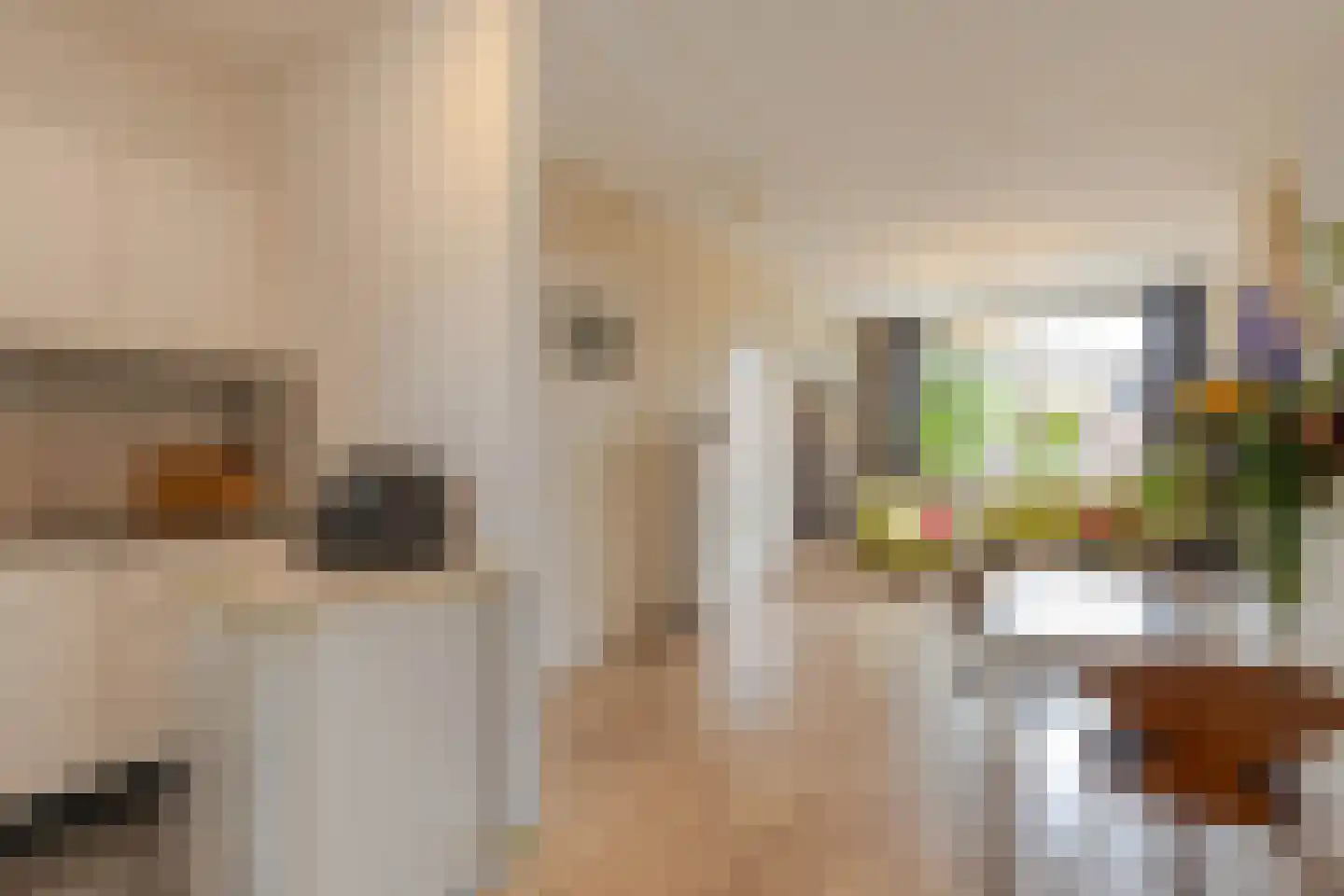 Dahliastraat 62 E Rotterdam thumbnail 13