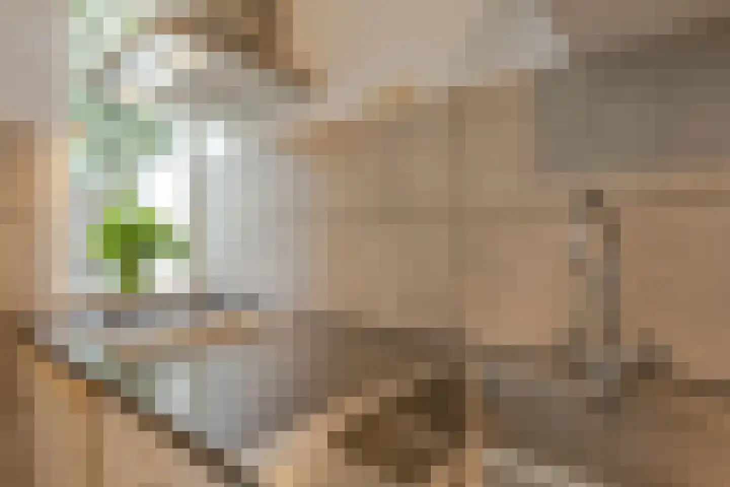 Dahliastraat 62 E Rotterdam thumbnail 15