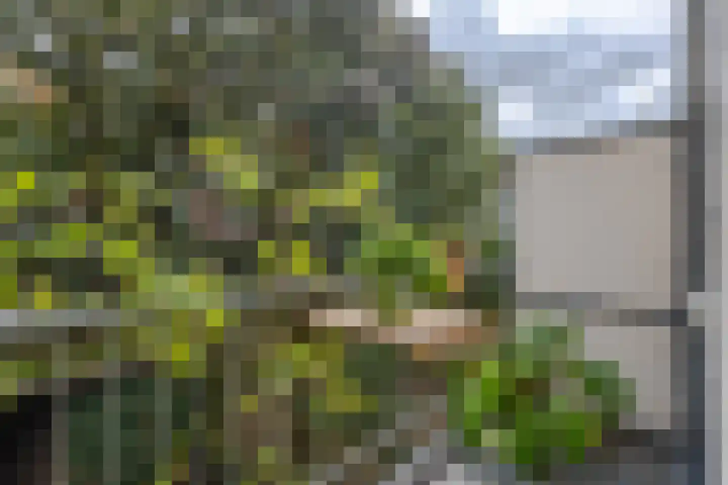 Dahliastraat 62 E Rotterdam thumbnail 4