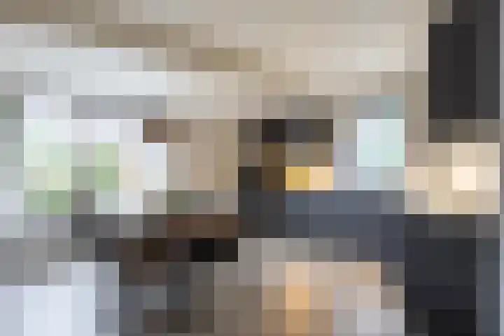 Dahliastraat 65 Winsum thumbnail 10
