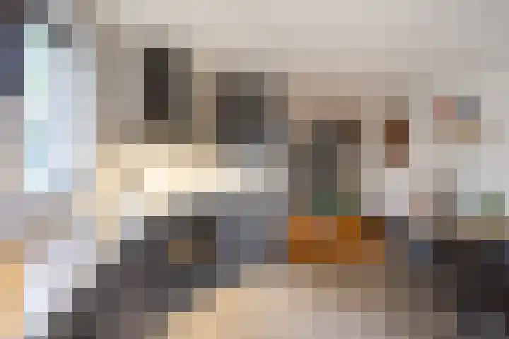 Dahliastraat 65 Winsum thumbnail 13