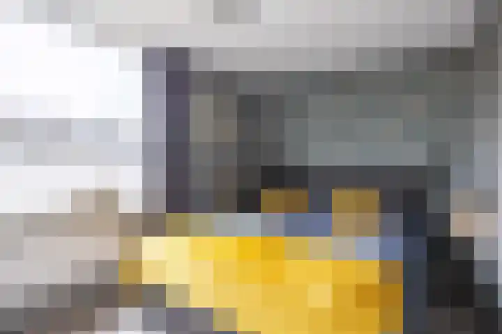 Dahliastraat 65 Winsum thumbnail 18