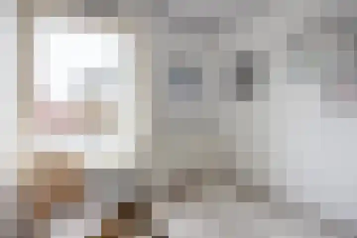 Dahliastraat 65 Winsum thumbnail 19