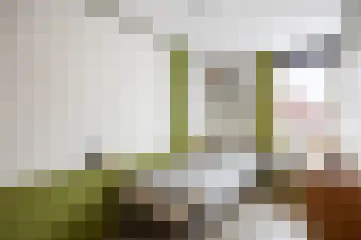 Dahliastraat 65 Winsum thumbnail 20