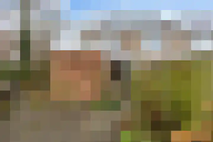 Dahliastraat 65 Winsum thumbnail 28