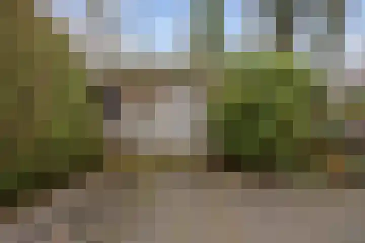 Dahliastraat 65 Winsum thumbnail 30