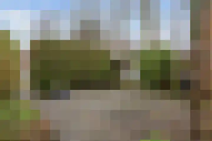 Dahliastraat 65 Winsum thumbnail 31