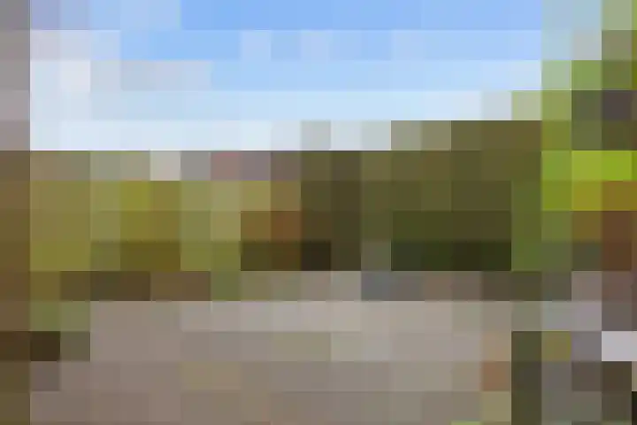 Dahliastraat 65 Winsum thumbnail 32