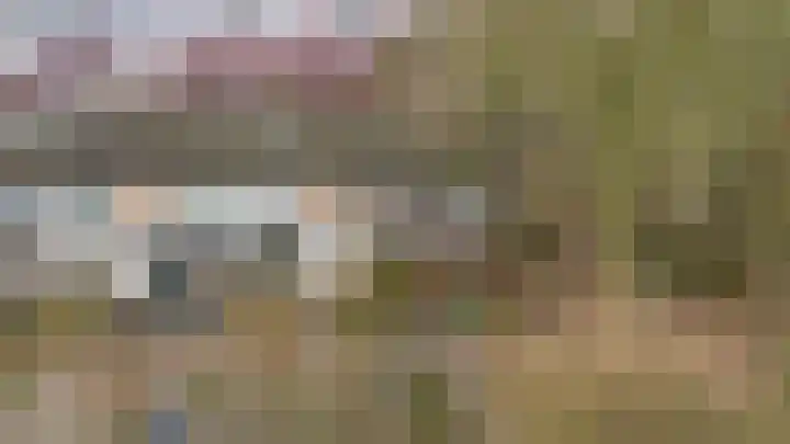 Dahliastraat 65 Winsum thumbnail 33