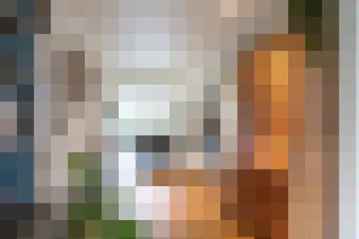 Dahliastraat 65 Winsum thumbnail 9