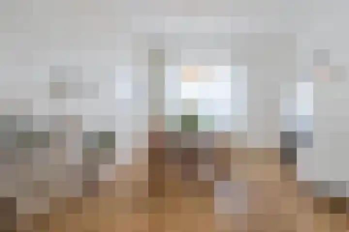 Dahliastraat 67 Culemborg thumbnail 10