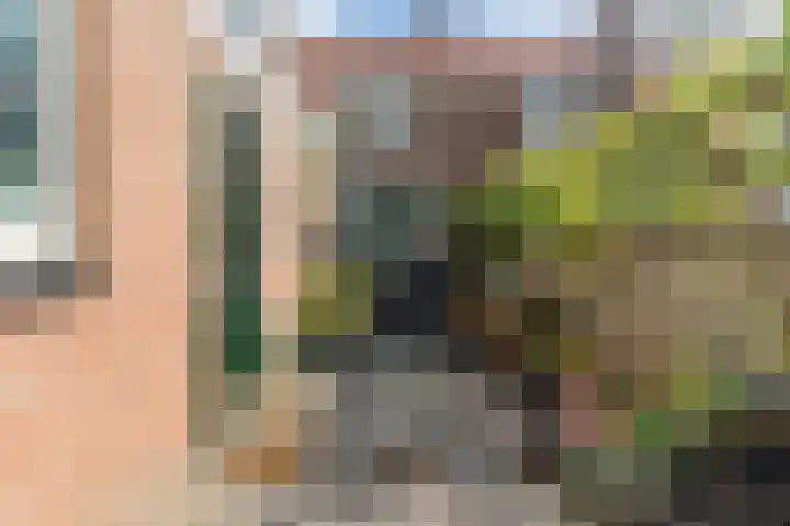 Dahliastraat 67 Culemborg thumbnail 31