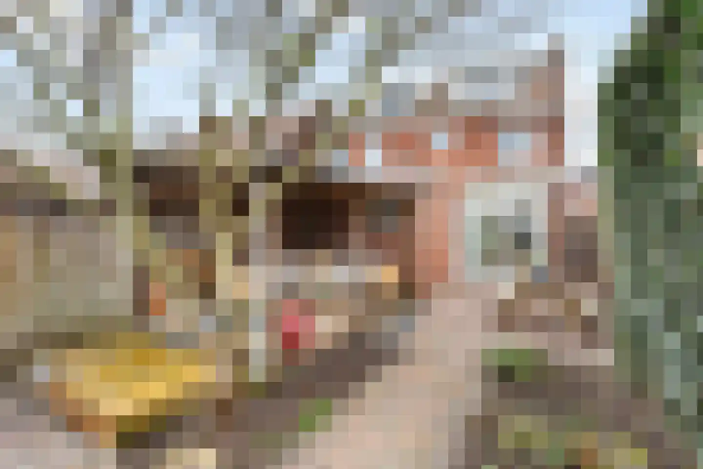 Dahliastraat 67 Enschede thumbnail 17