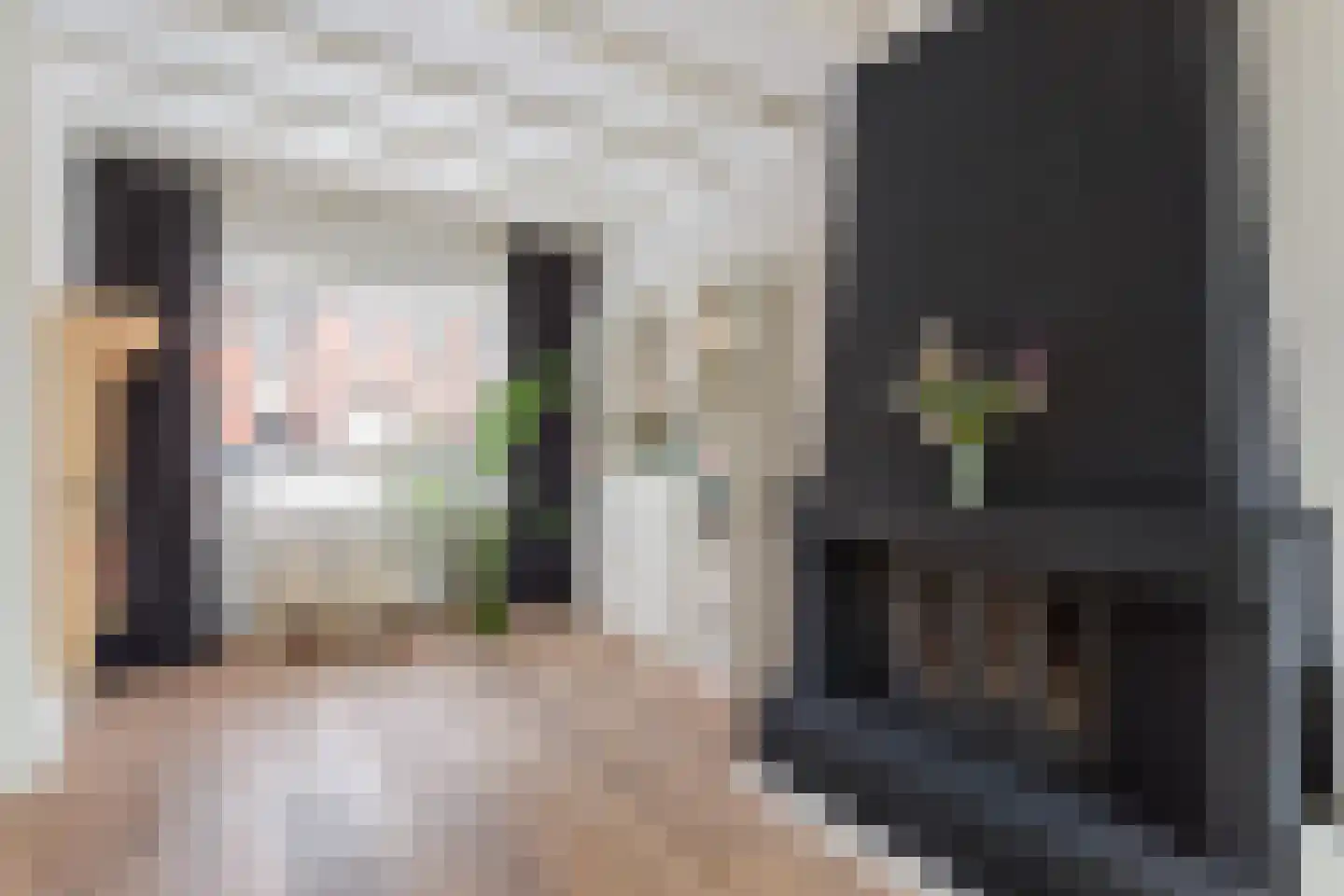 Dahliastraat 67 Enschede thumbnail 8