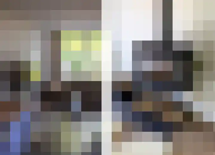Dahliastraat 67 Oosterhout thumbnail 13