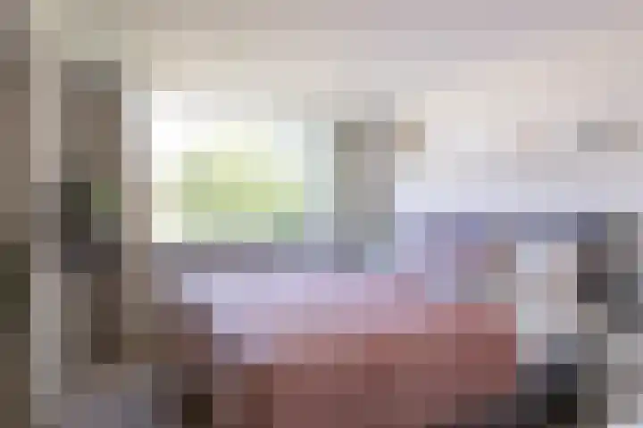 Dahliastraat 67 Oosterhout thumbnail 17