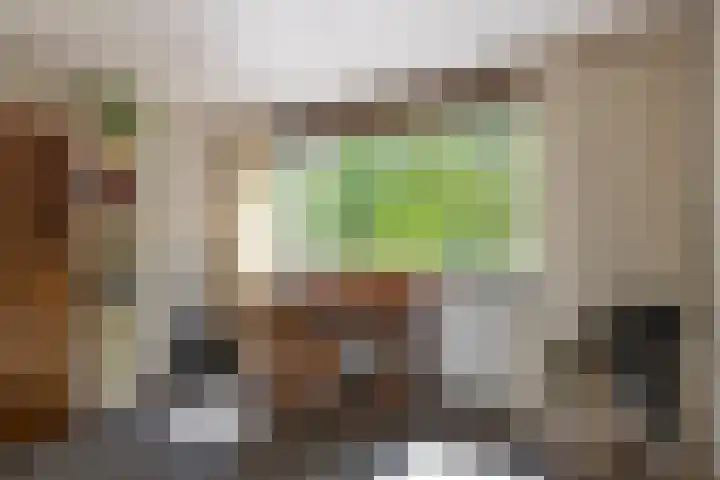Dahliastraat 67 Oosterhout thumbnail 25