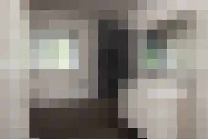 Dahliastraat 67 Oosterhout thumbnail 27
