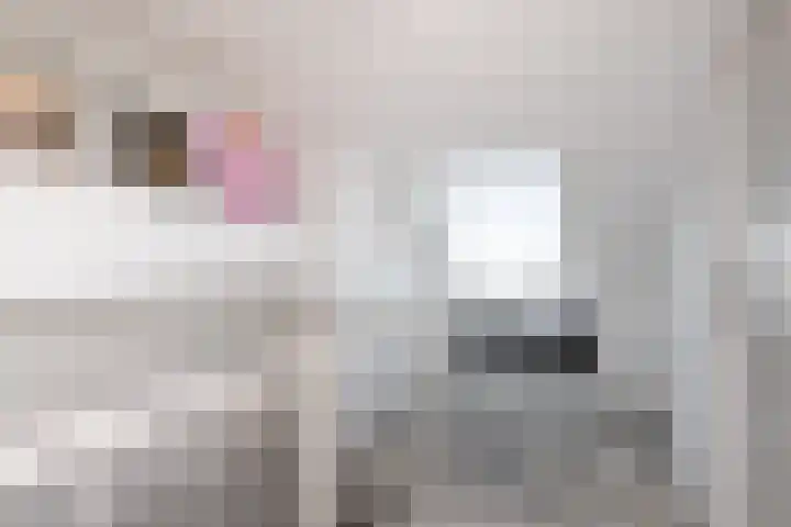 Dahliastraat 67 Oosterhout thumbnail 29