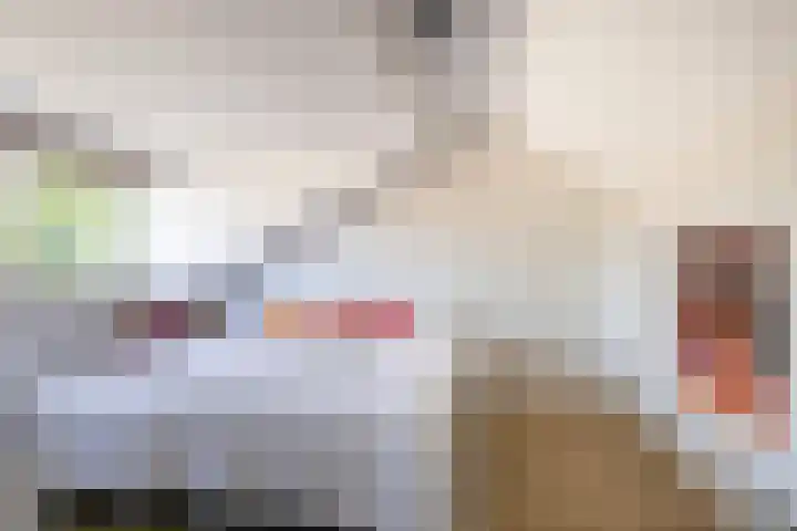 Dahliastraat 67 Oosterhout thumbnail 30