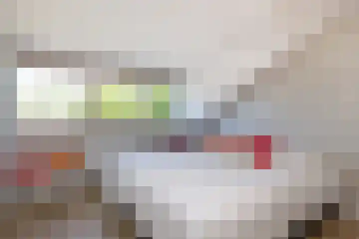 Dahliastraat 67 Oosterhout thumbnail 31