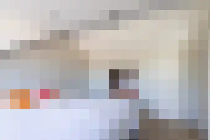 Dahliastraat 67 Oosterhout thumbnail 32