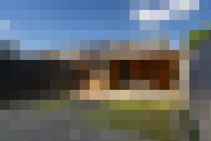 Dahliastraat 67 Oosterhout thumbnail 33