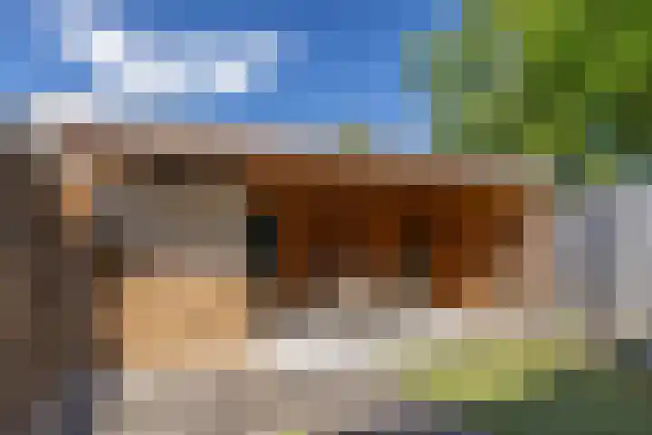 Dahliastraat 67 Oosterhout thumbnail 34