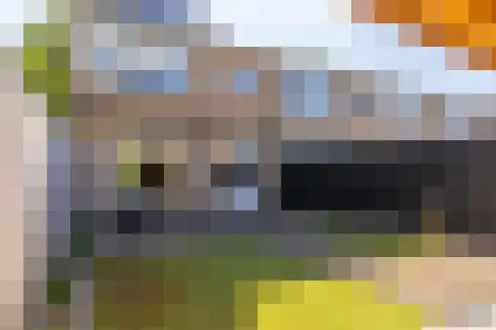 Dahliastraat 67 Oosterhout thumbnail 36